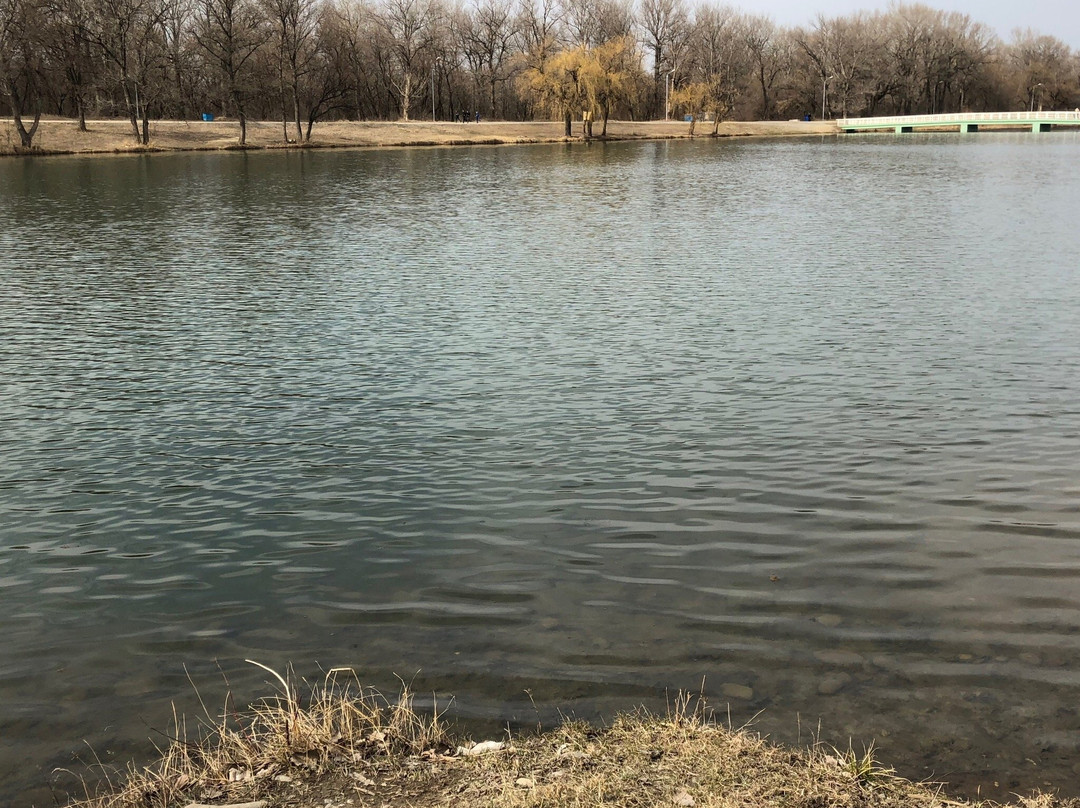 Park Green Island景点图片