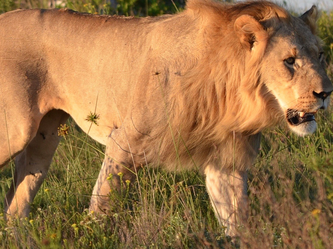 Eagles Crag Lodge主图