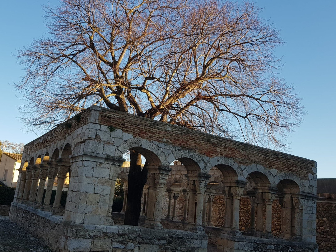 Romanesque cloister of Sant Domenec (Museum of the town)景点图片