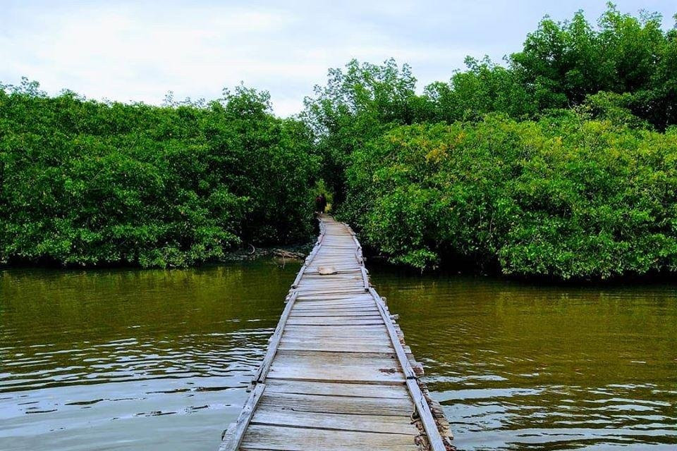 Amazônia Azul Turismo景点图片
