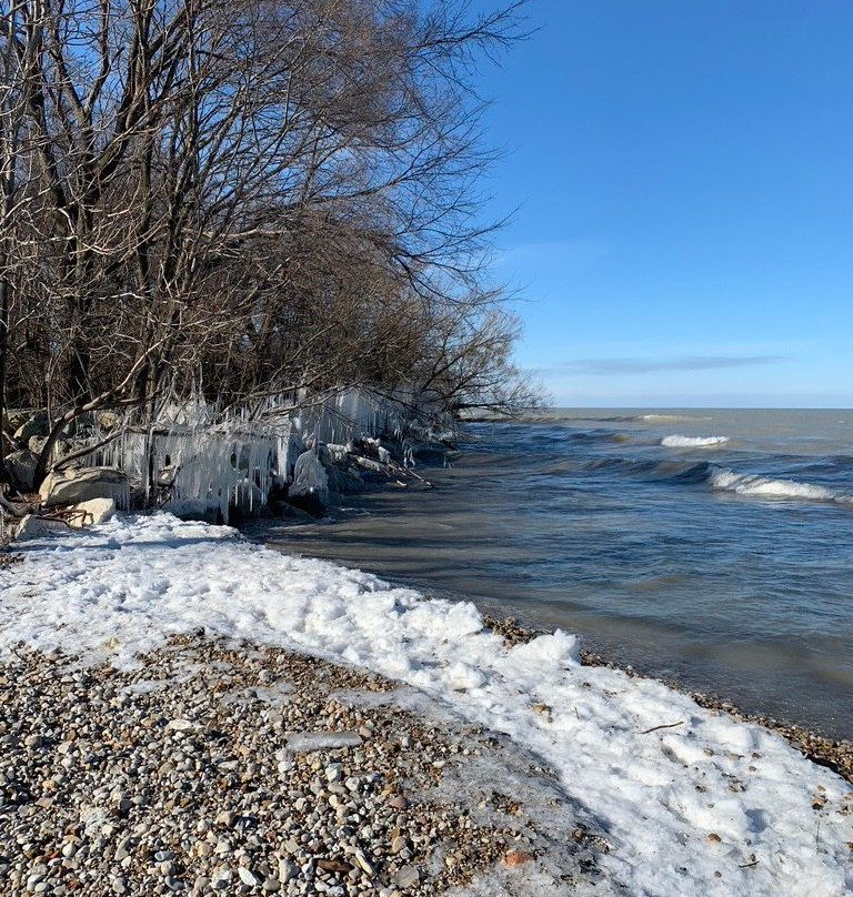 Lawrence O Lawson Park-埃文斯顿必去景点