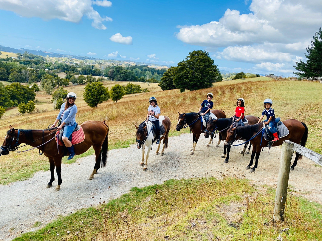 Horse Riding Warkworth-瓦卡沃夫必去景点