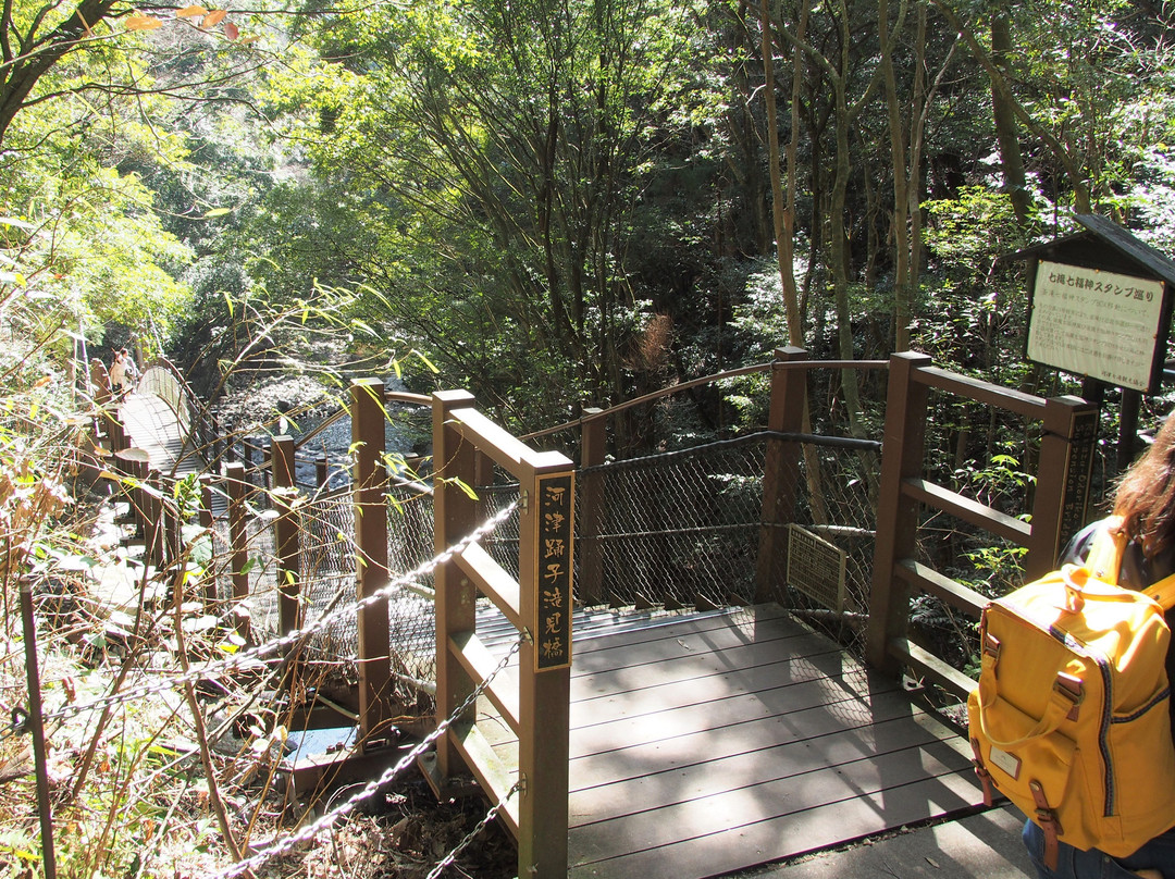 Kawazu Odoriko Takimi Bridge景点图片