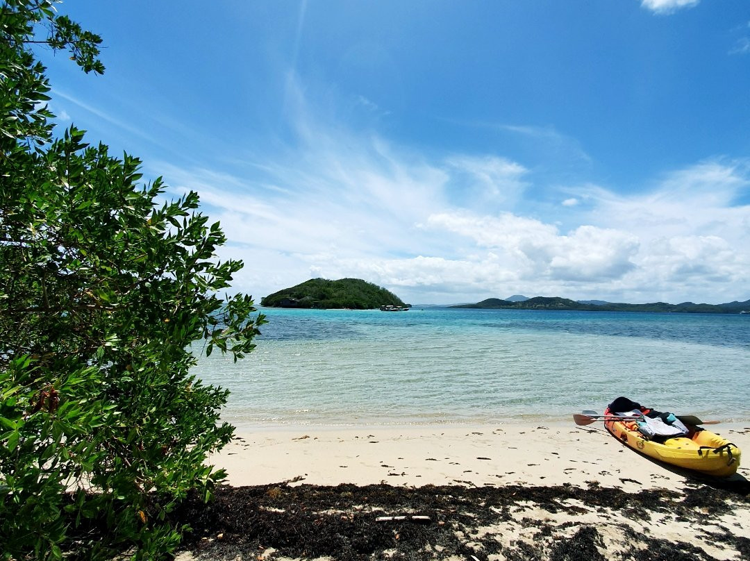 Kayak Nature et Rando景点图片