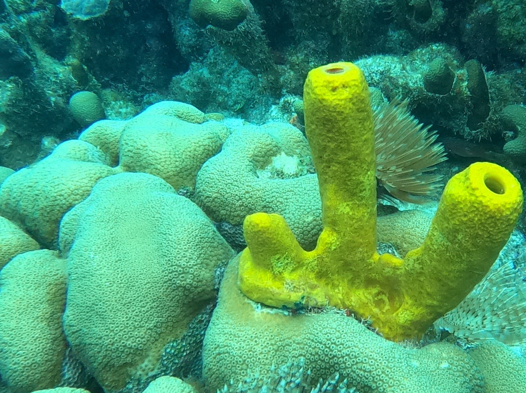 Eden Plongée-Port-Louis必去景点