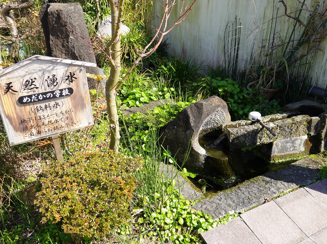 Shimabara Spring Group-岛原市必去景点