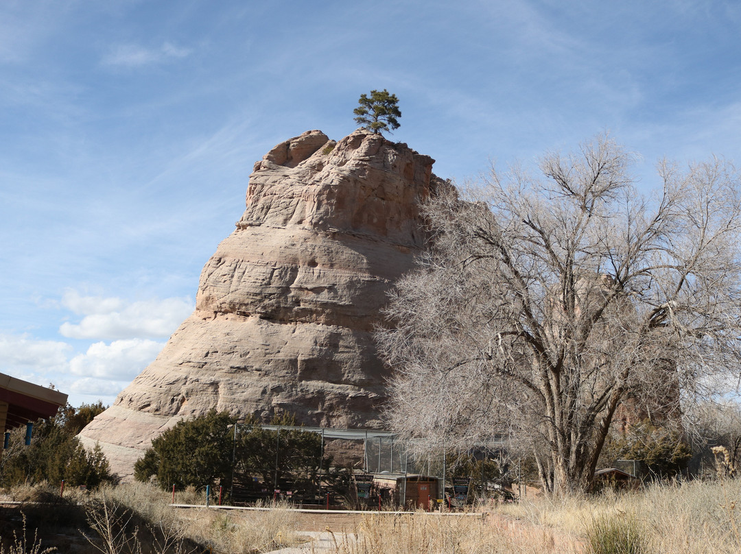 Navajo Nation Zoo & Botanical Park-Window Rock必去景点