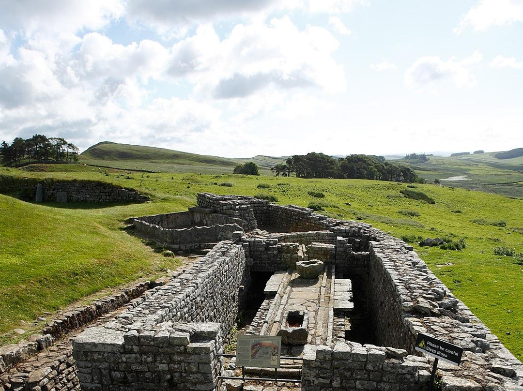 Housesteads Roman Fort - Hadrian's Fort景点图片