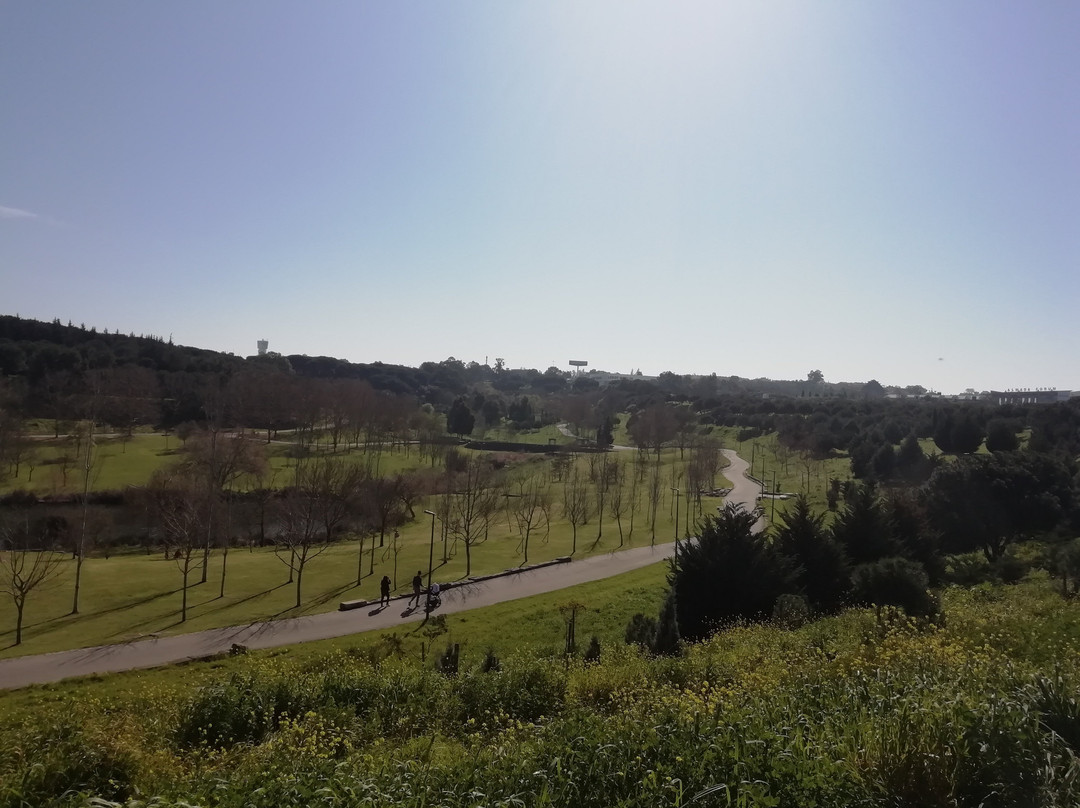 Parque da Paz景点图片
