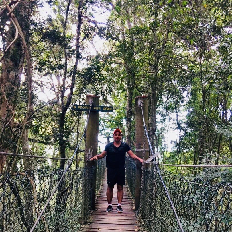 Lamington National Park景点图片