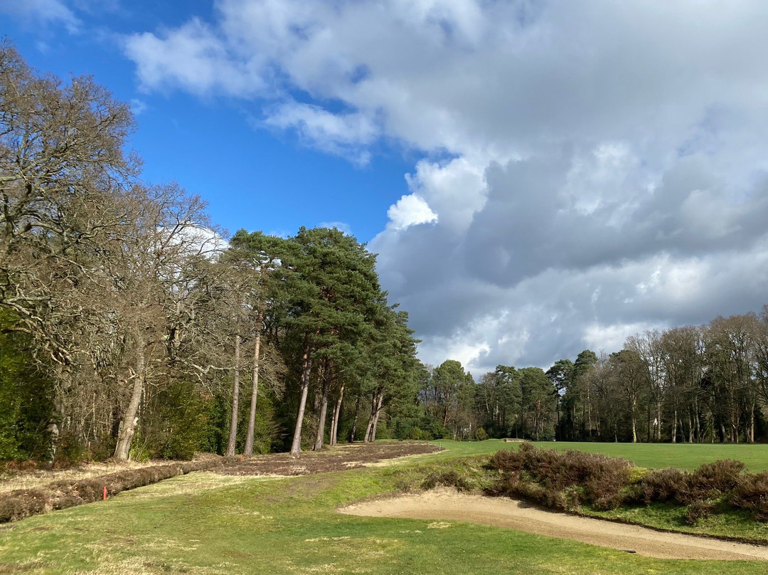 Worplesdon Golf Club景点图片
