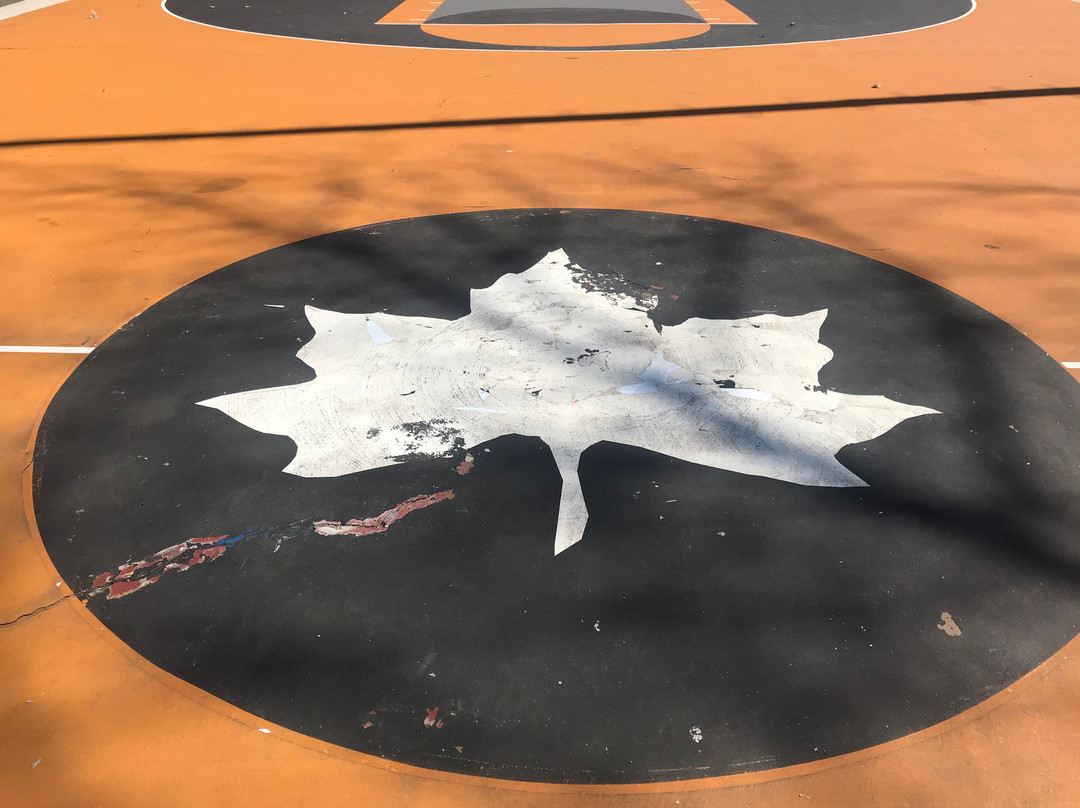 Holcombe Rucker Park-纽约市必去景点
