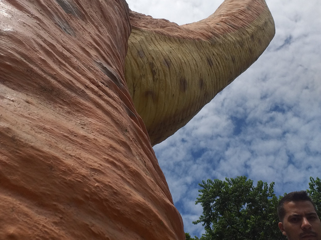 Mutirama Park-戈亚尼亚必去景点