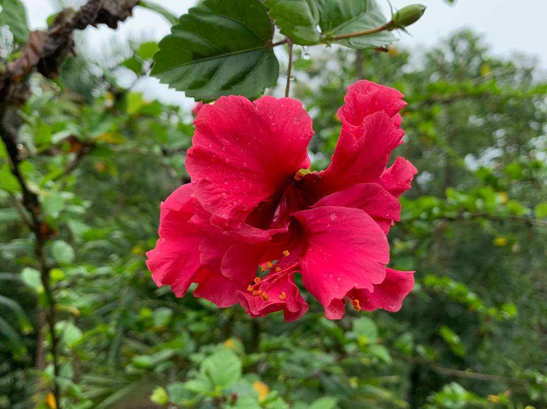 Ecoparque La Soñada-Tarapoto必去景点