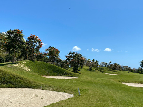 Diamond Bay Golf-芽庄必去景点