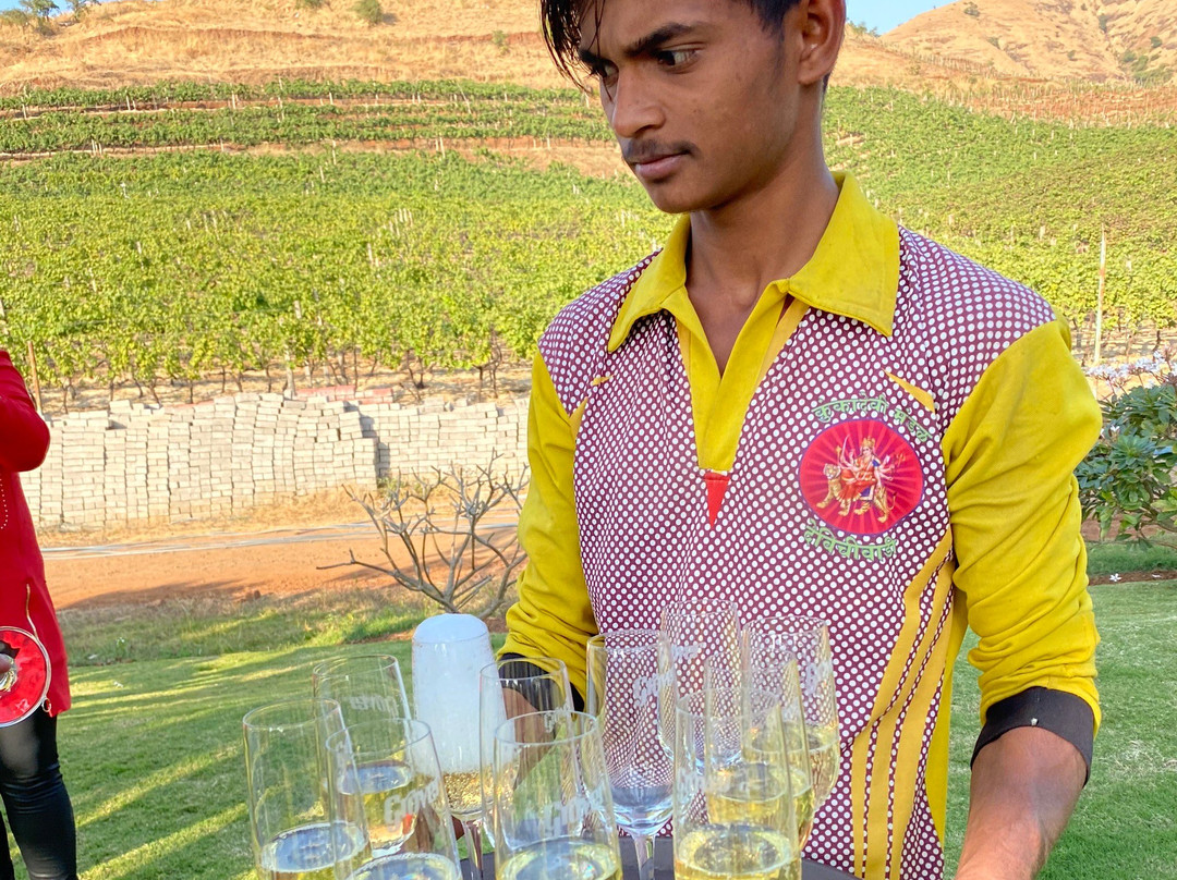 Grover Zampa Vineyards Nashik-纳西克必去景点