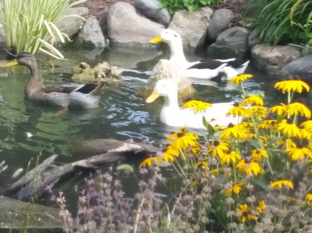 Spring Green Motel主图