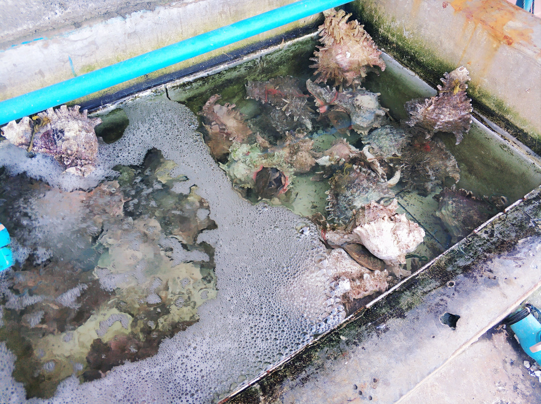 Ban Ao Yai-阁骨岛必去景点