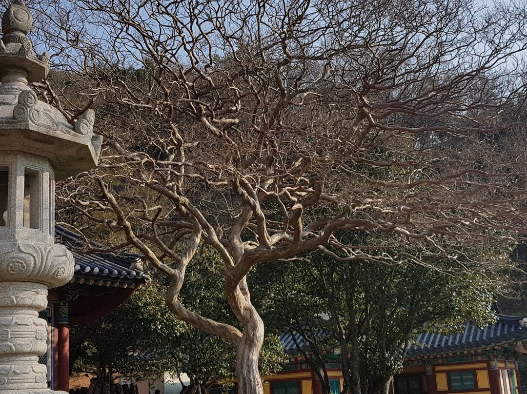 Dasan Chodang (Dasan Jeong Yak-yong historical site)-康津郡必去景点