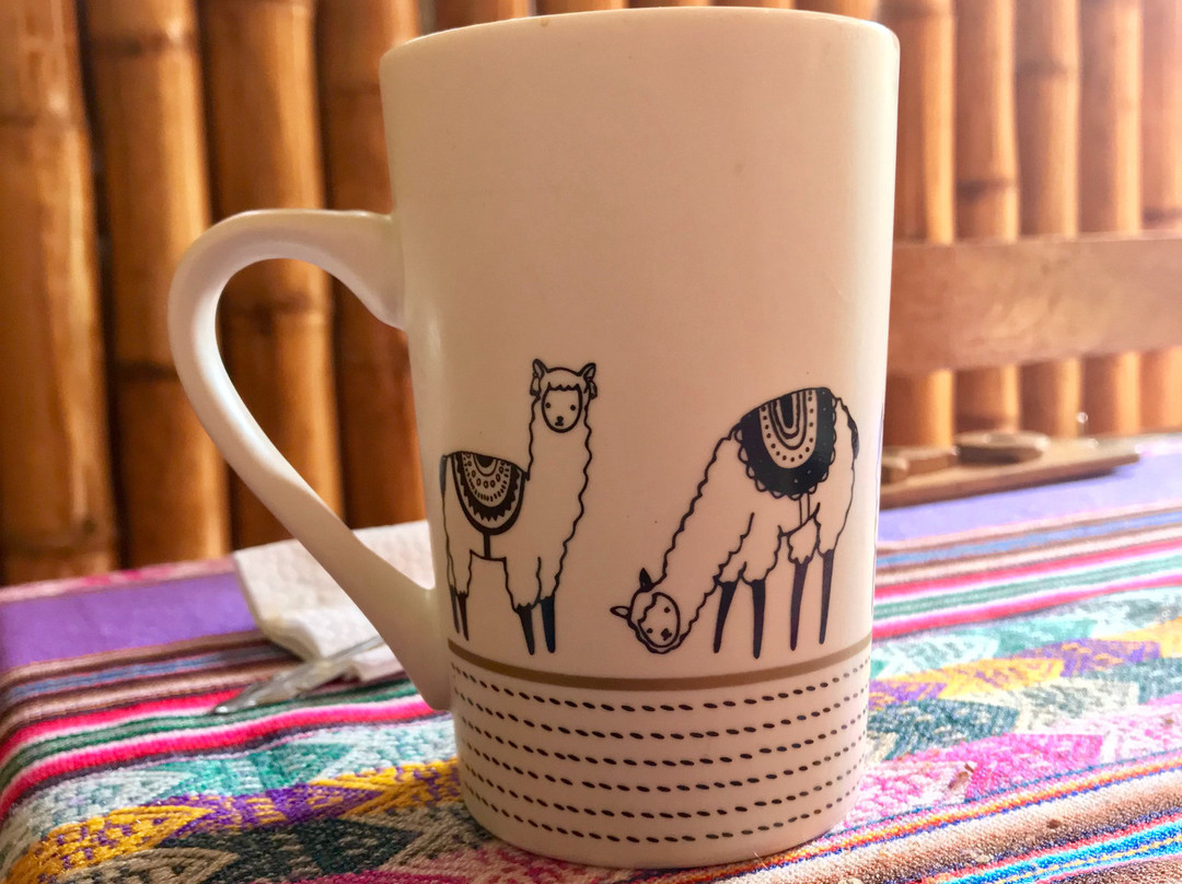 La Casa de Bamboo主图