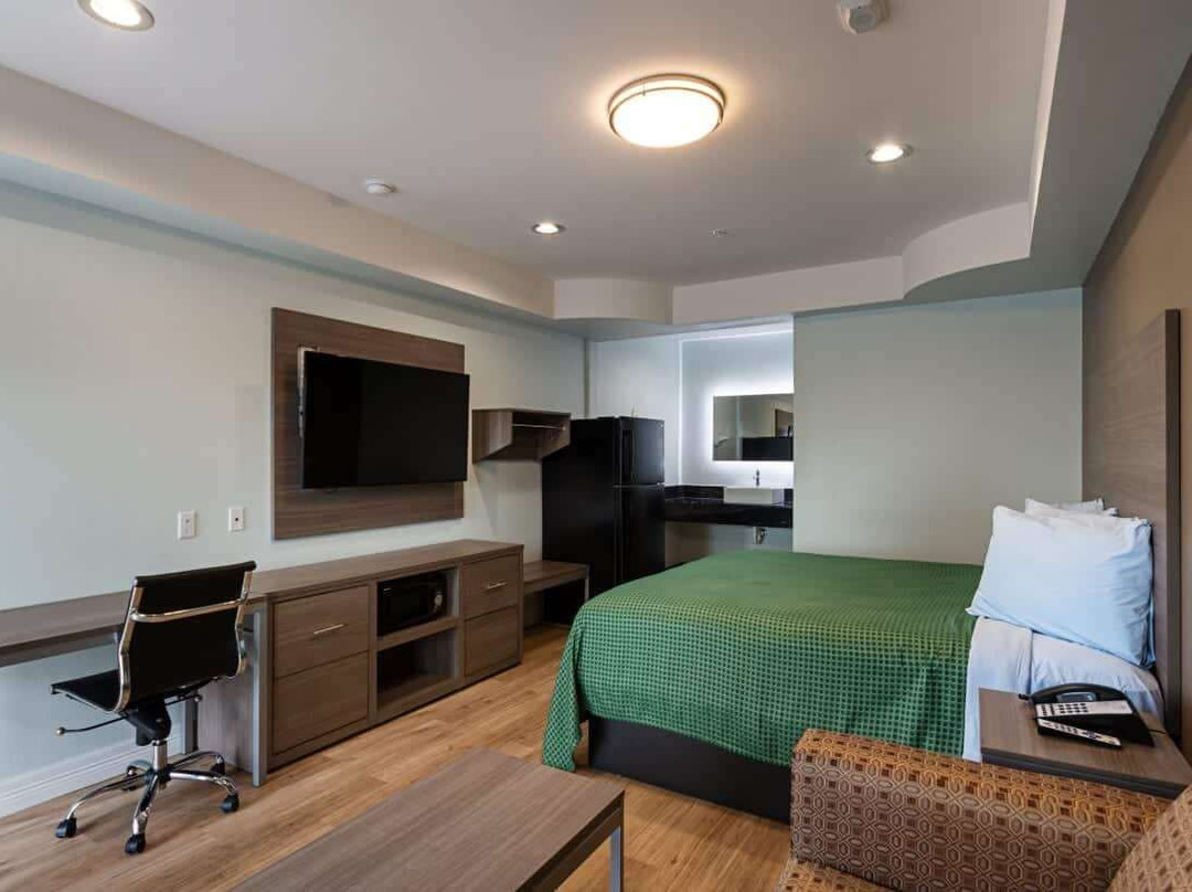 Baymont by Wyndham Kingwood主图