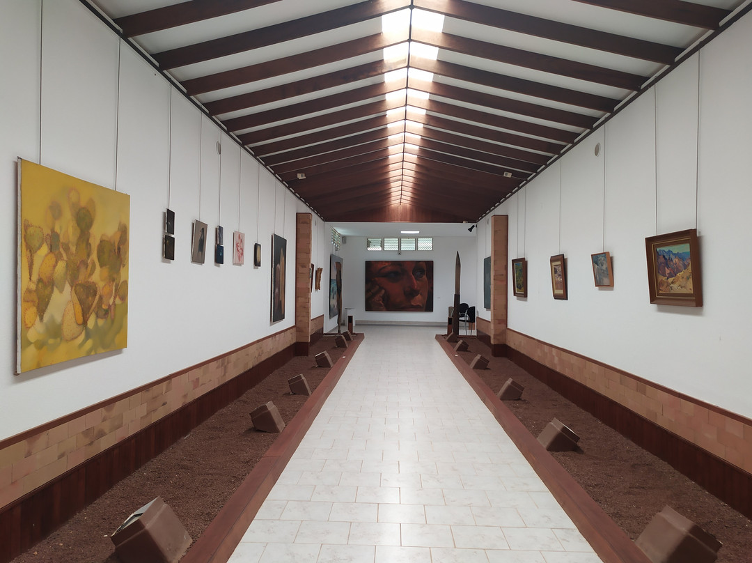 Centro de Arte Canario - Casa Mane景点图片