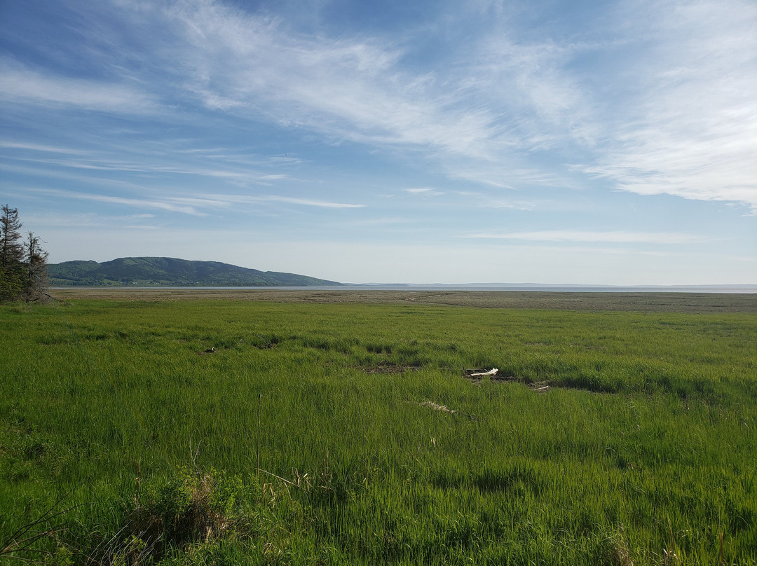 Mary's Point Bird Sanctuary/Shepody National Wildlife area景点图片