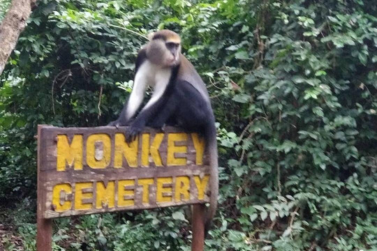 Dmasrk Tours-库马西必去景点