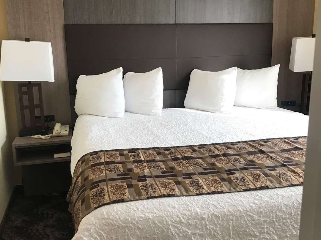 Quality Suites主图