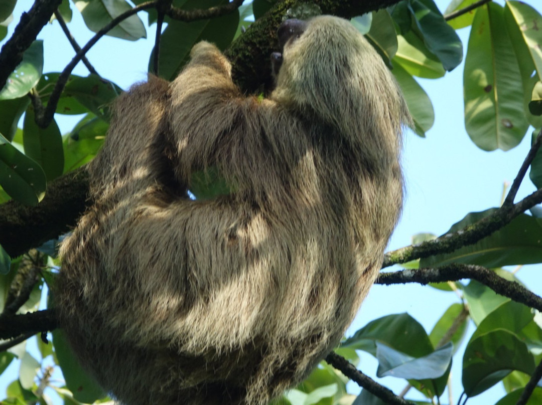 Playa Bluff Hotel主图