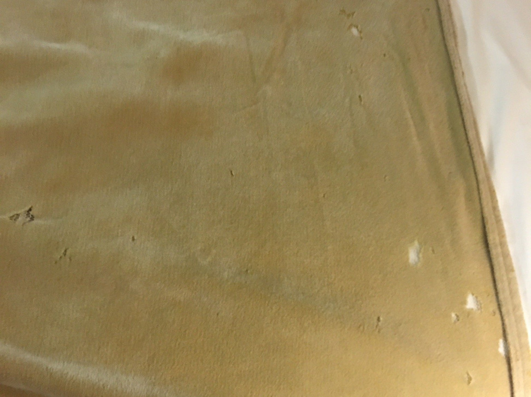 Days Inn & Suites by Wyndham New Iberia主图