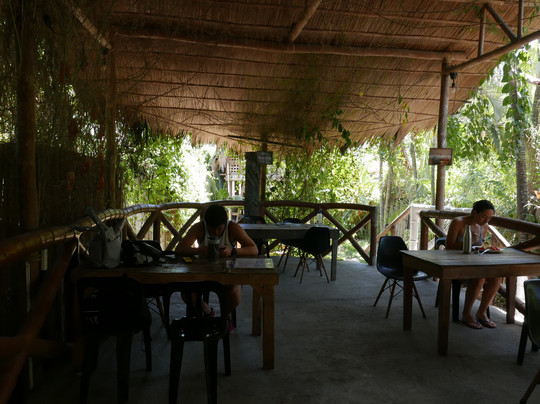 Bongo Bongo Divers主图