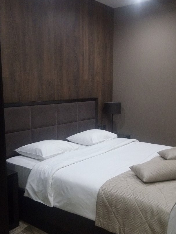 Hotel Harten Business & International主图