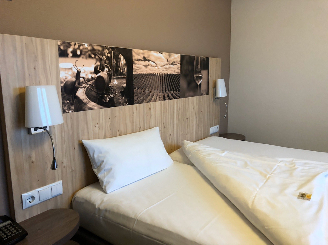 Pfalzhotel Asselheim主图