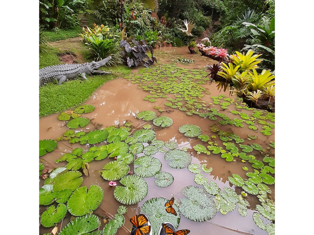 La Rinconada Ecoparque & Resort-圣克鲁斯省必去景点