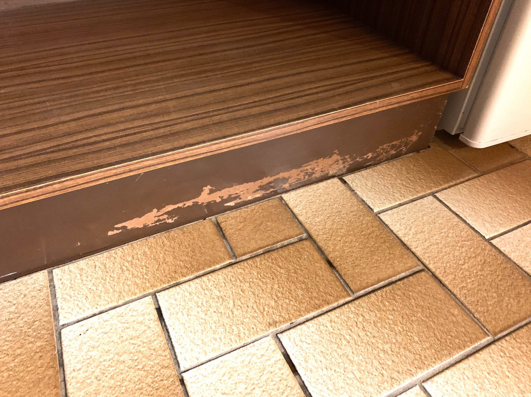 Alexandra Motor Inn主图