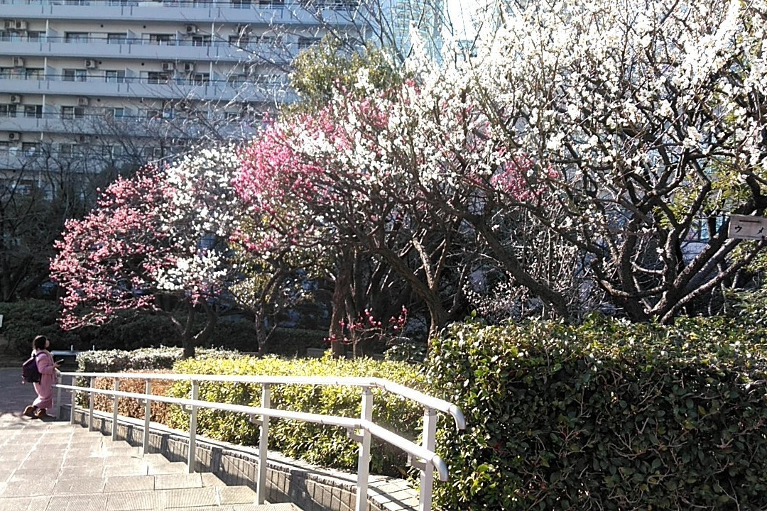 Kawaguchi West Park-川口市必去景点