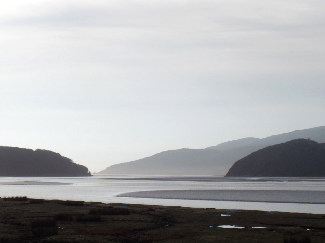 Mawddach Valley - Arthog Bog景点图片