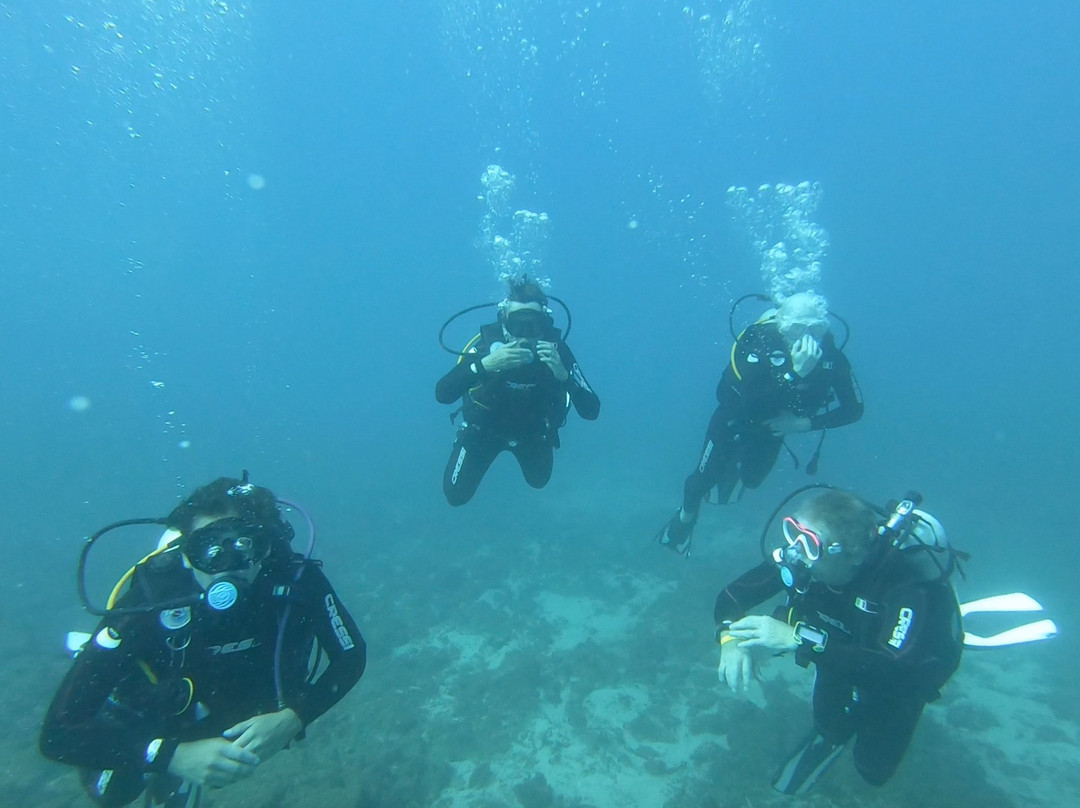 Samara Dive School景点图片