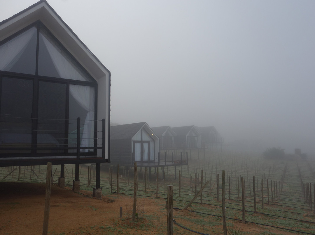 Oeno Wine Lodge主图