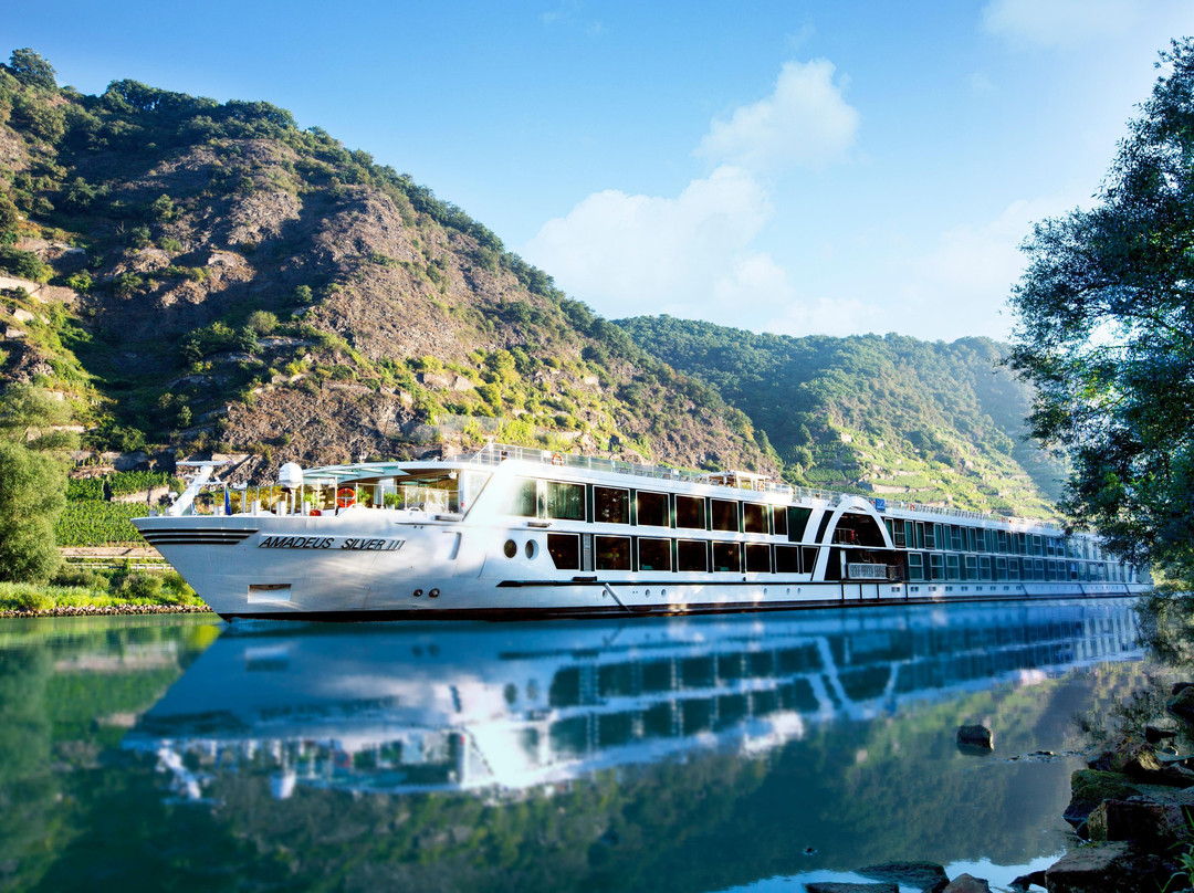 AMADEUS River Cruises景点图片
