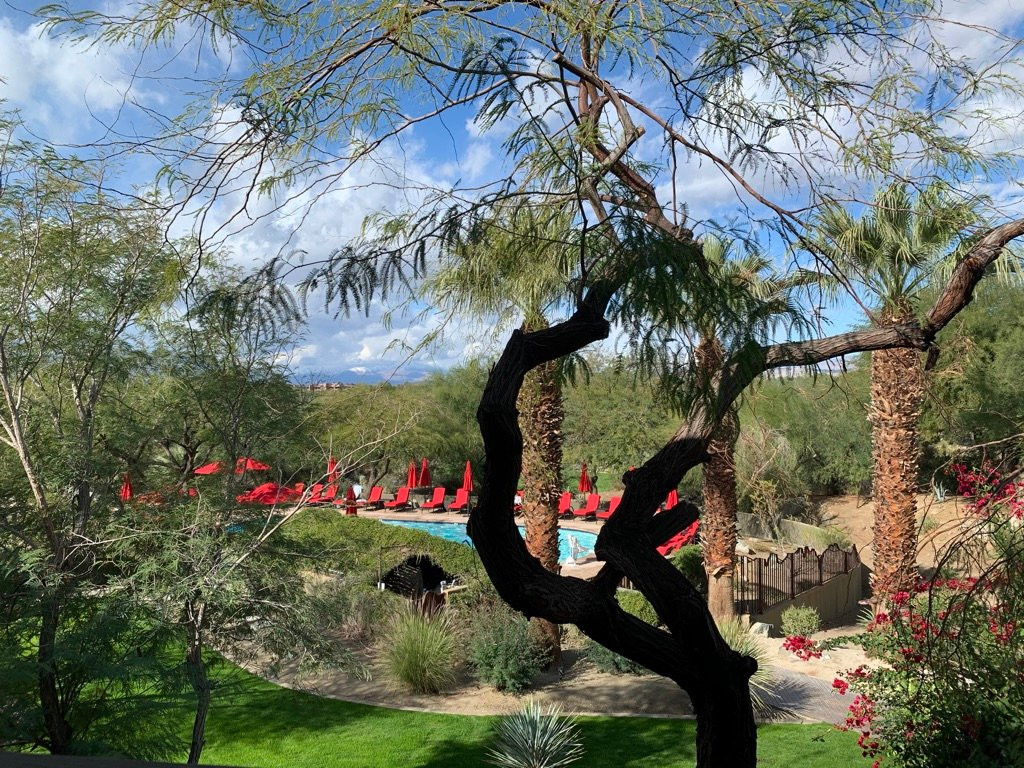 棕榈沙漠 - 因特拉韦斯特俱乐部酒店主图