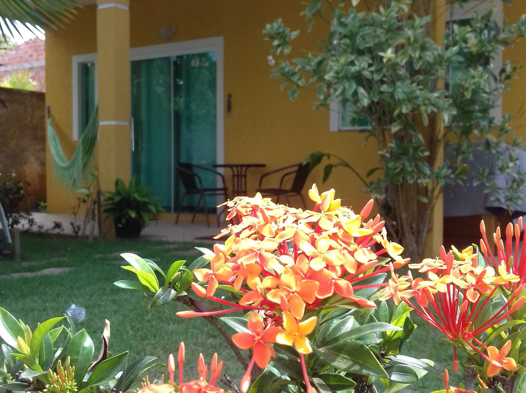 Praia Da Barra Do Jacuípe-Camacari必去景点