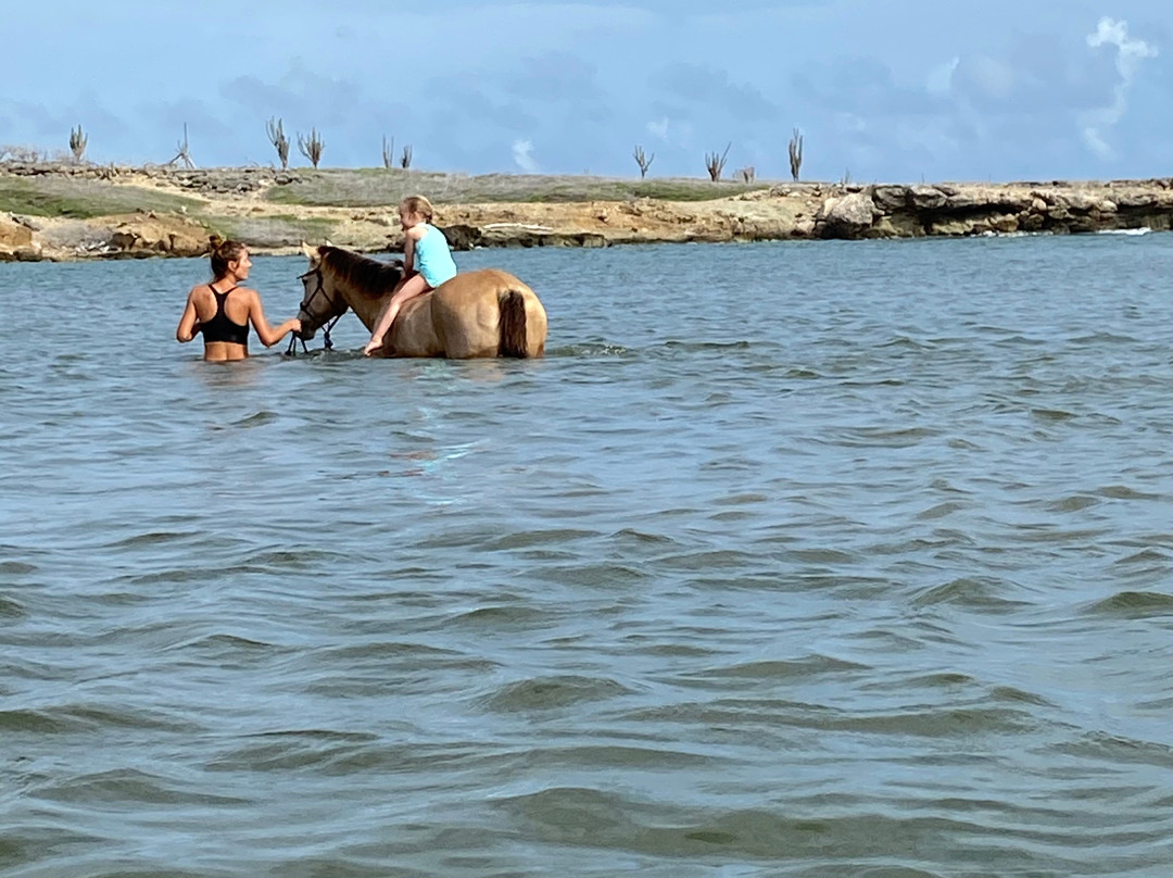 Rancho Washikemba Horse Ranch Bonaire景点图片