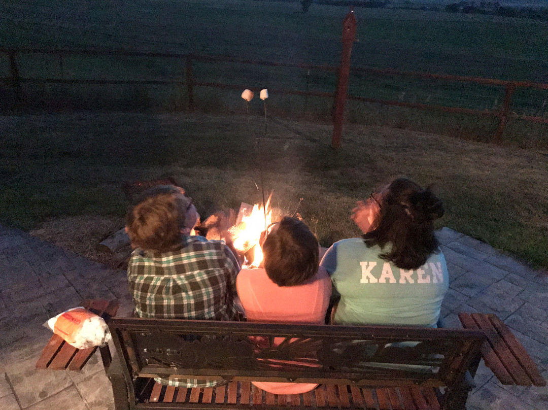 4 Bears bed and breakfast主图