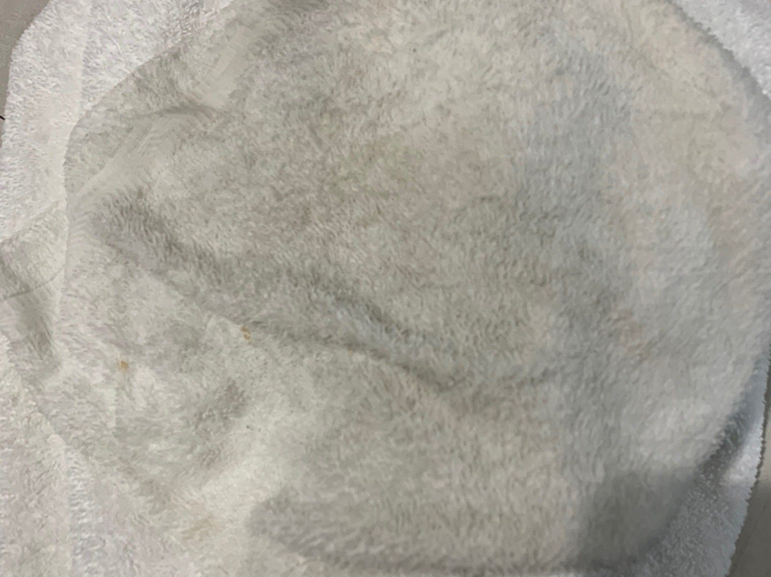 Homewood Suites by Hilton Tyler主图