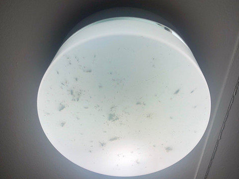 Kempsey Rose Motor Inn主图