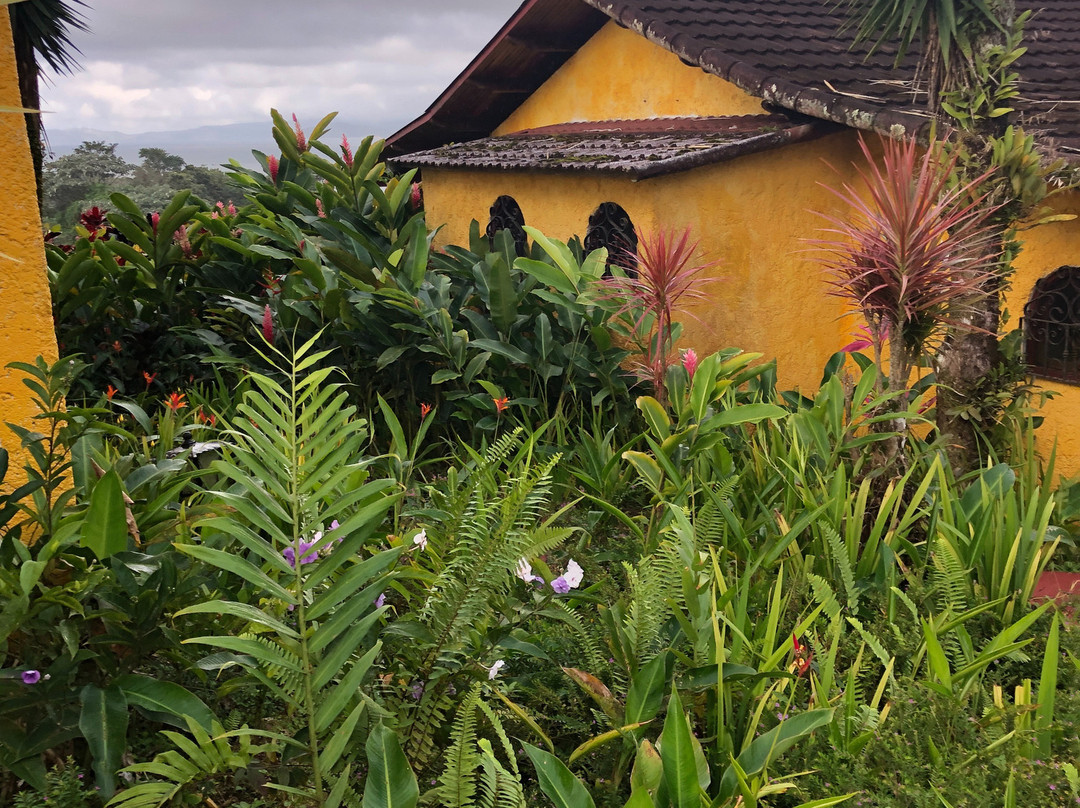 Hotel La Mansion Inn Arenal主图