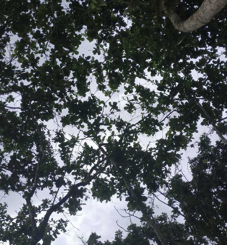 Mandiri Beach-Balai Kencana必去景点