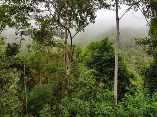 Mata do Sossego-Simonesia必去景点